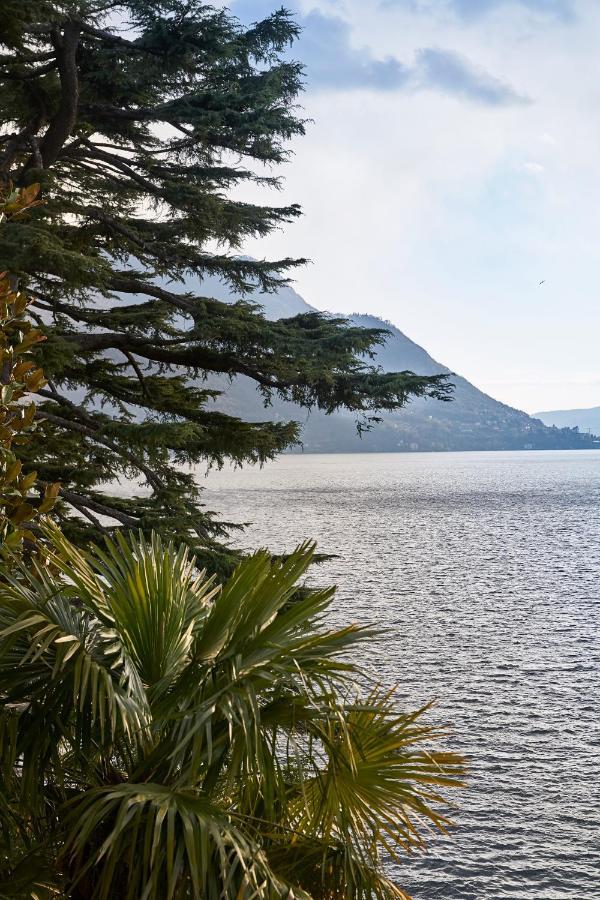 Villa Lario Lake Como Pognana Lario Exterior foto